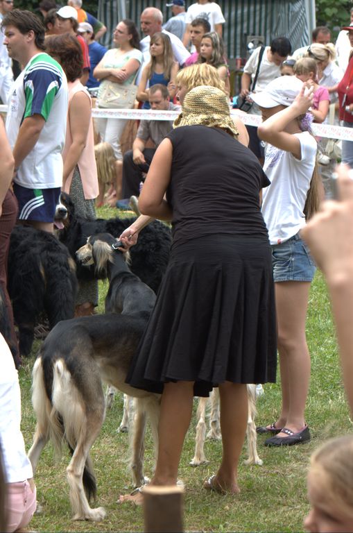 Národná výstava psov Košice, 13. 07. 2008