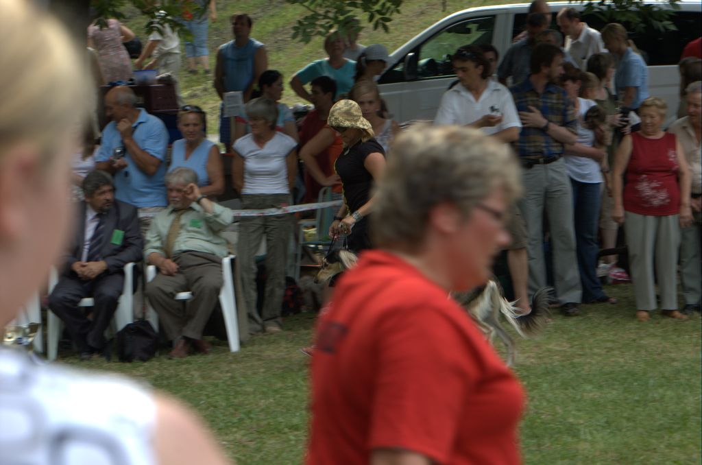 Národná výstava psov Košice, 13. 07. 2008