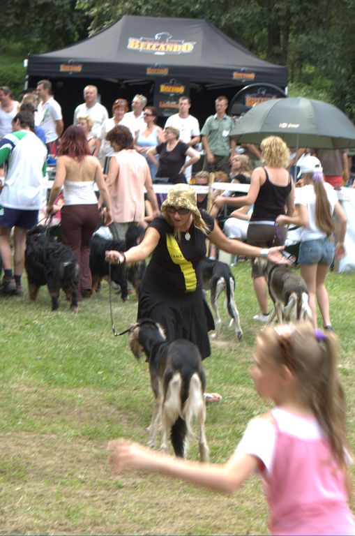 Národná výstava psov Košice, 13. 07. 2008