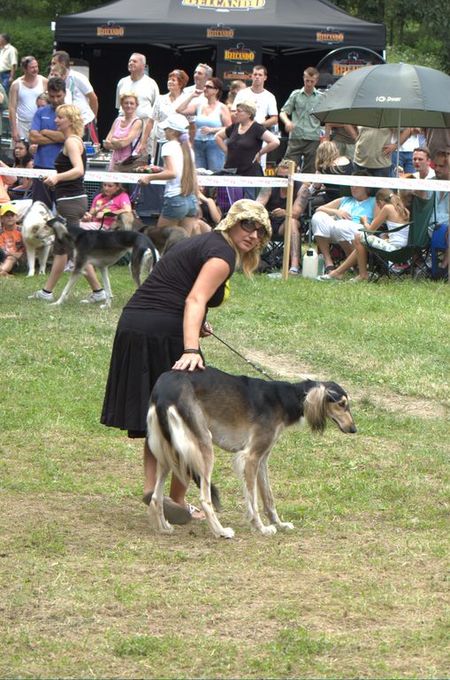 Národná výstava psov Košice, 13. 07. 2008