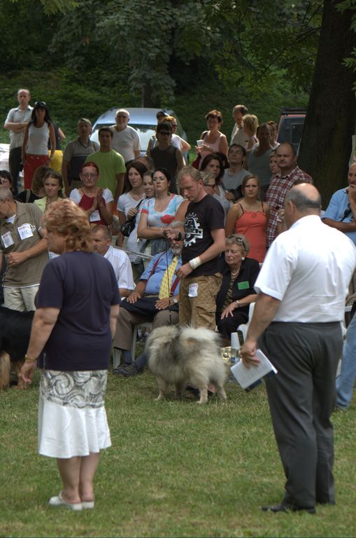 Národná výstava psov Košice, 13. 07. 2008