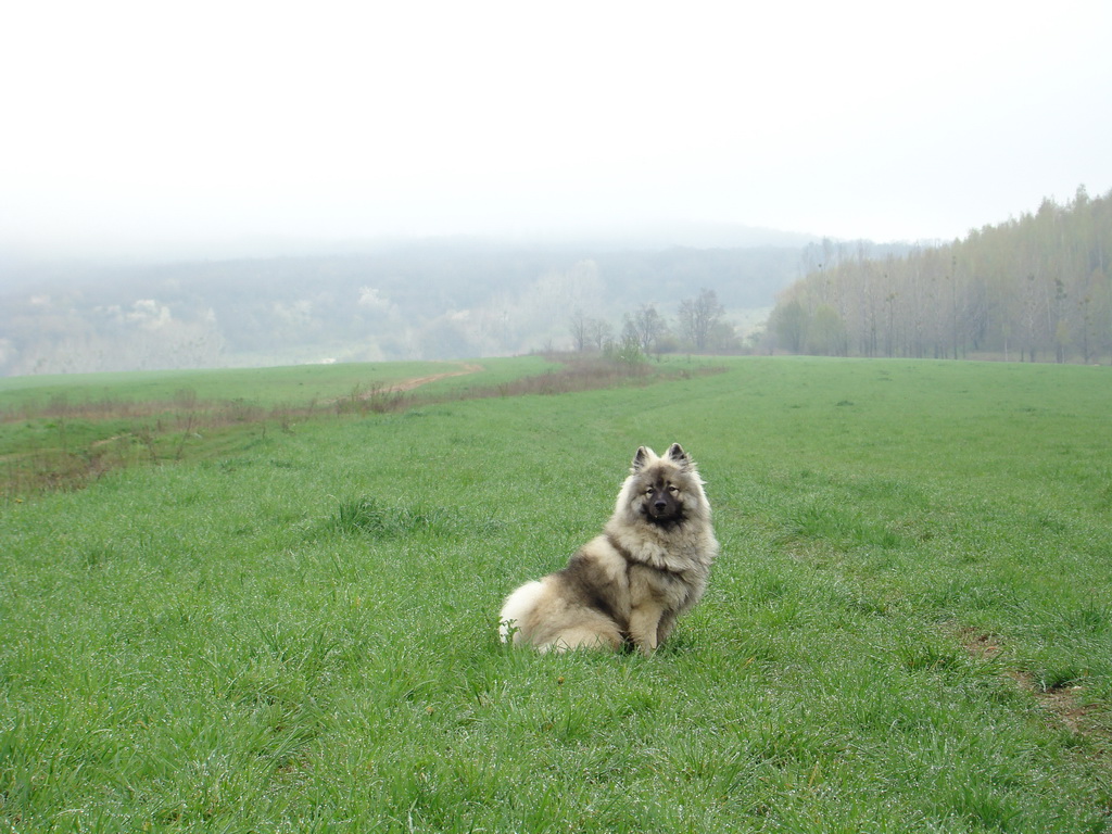 Rákocziho prameň 20.04.2008