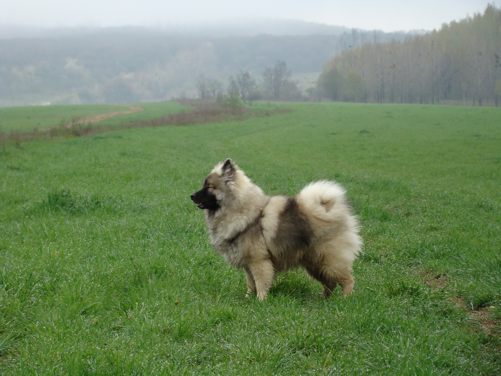 Rákocziho prameň 20.04.2008