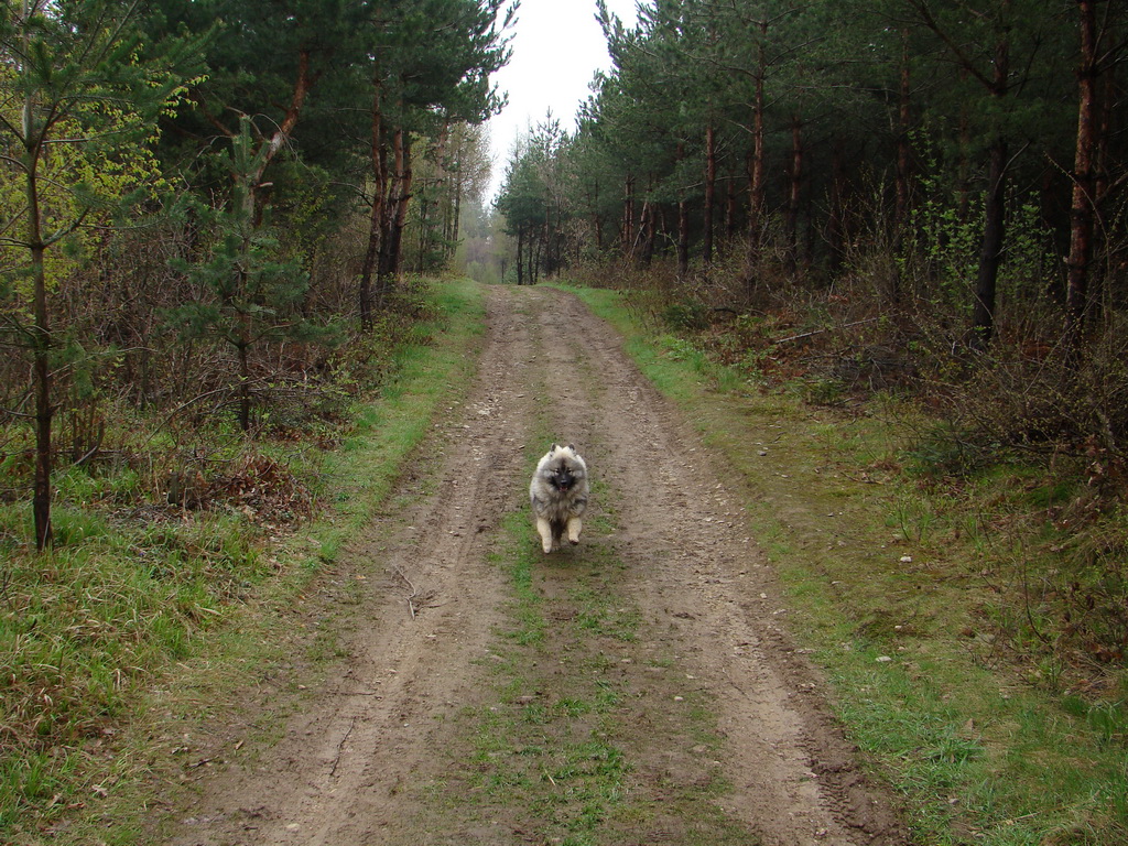 Rákocziho prameň 20.04.2008