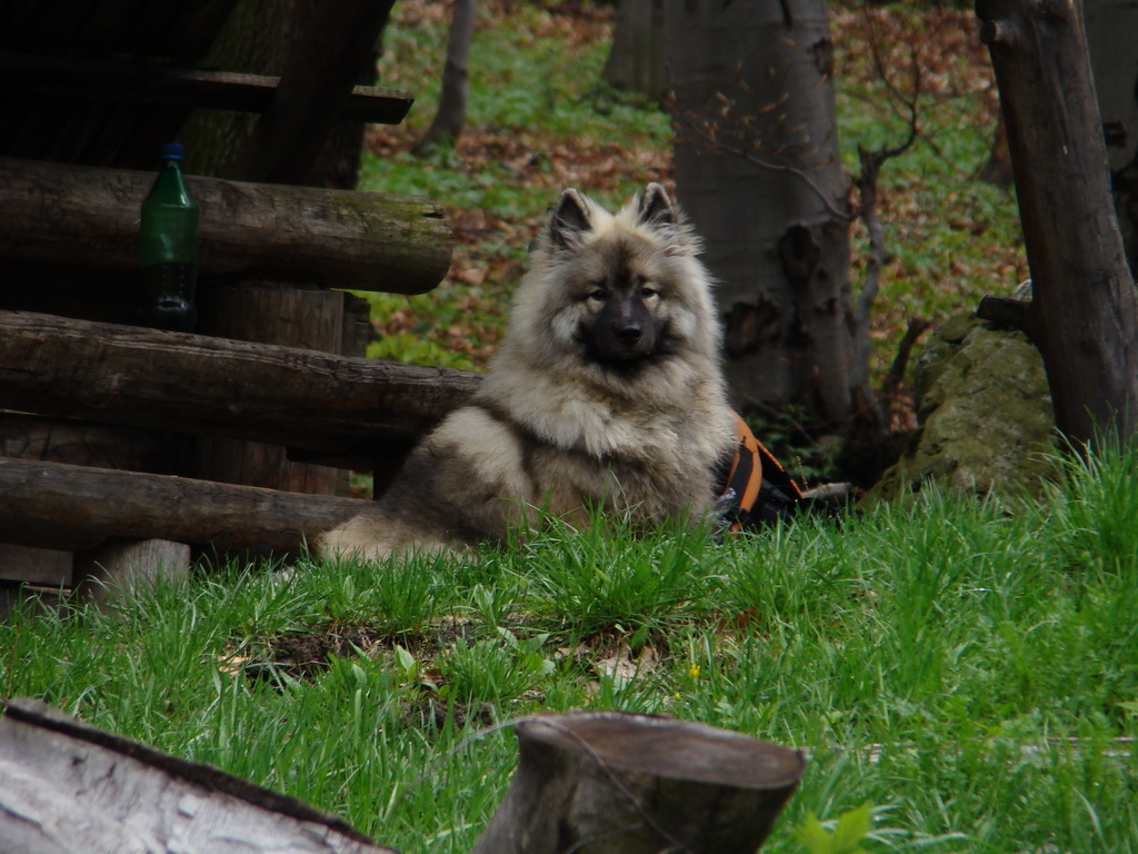 Rákocziho prameň 20.04.2008