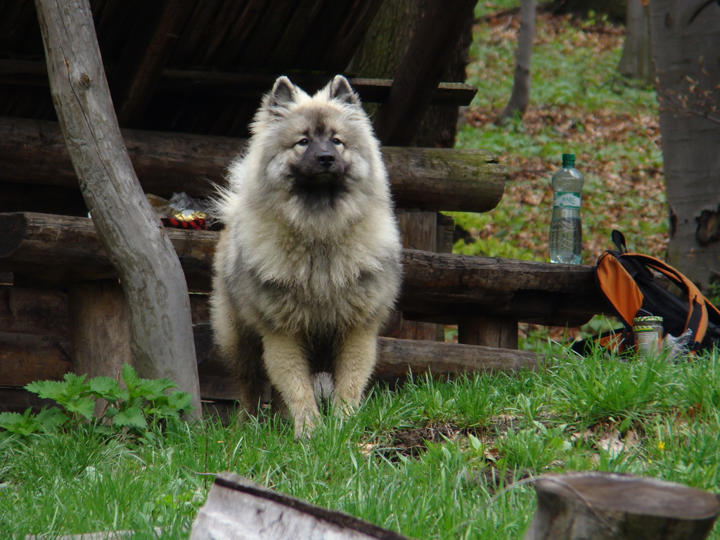 Rákocziho prameň 20.04.2008