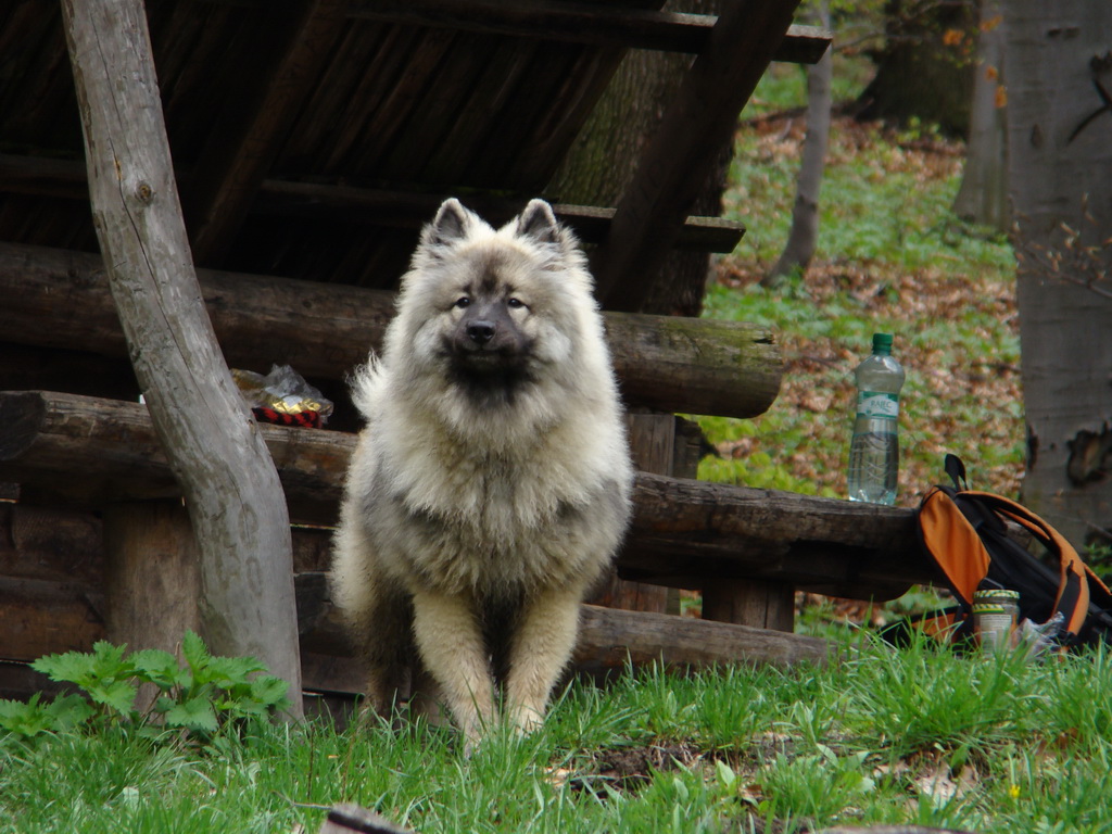 Rákocziho prameň 20.04.2008