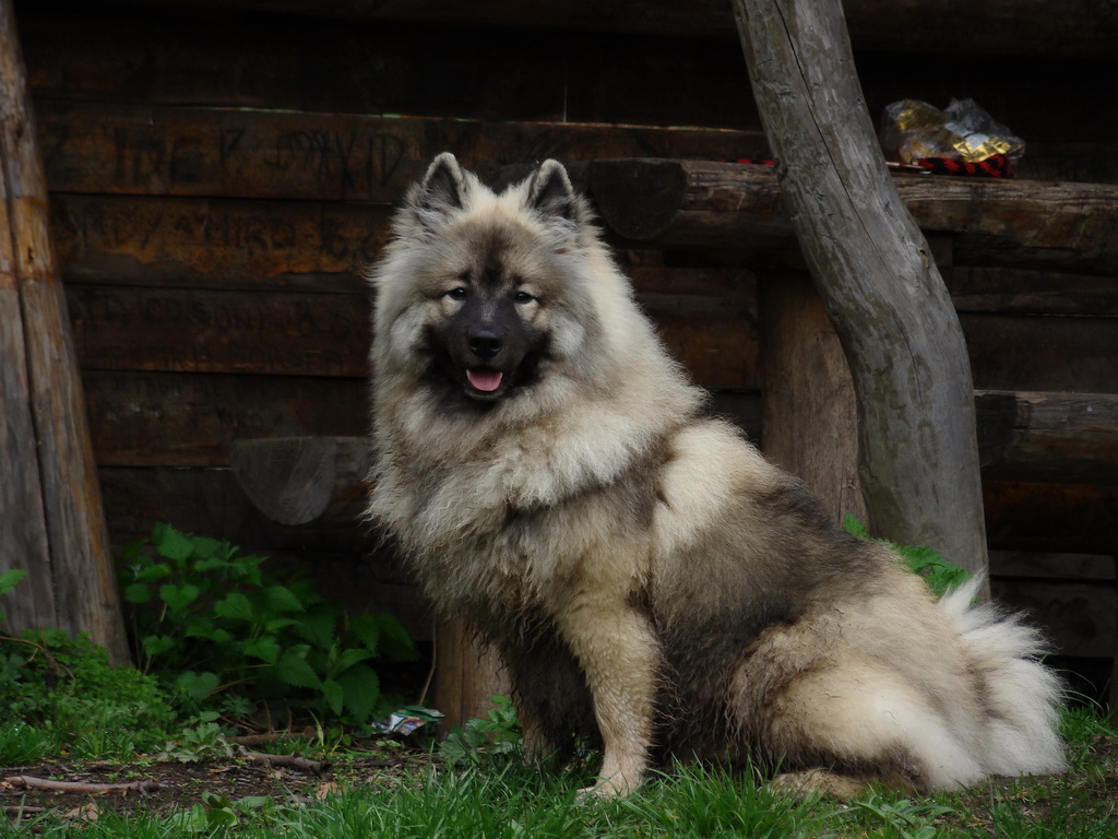 Rákocziho prameň 20.04.2008