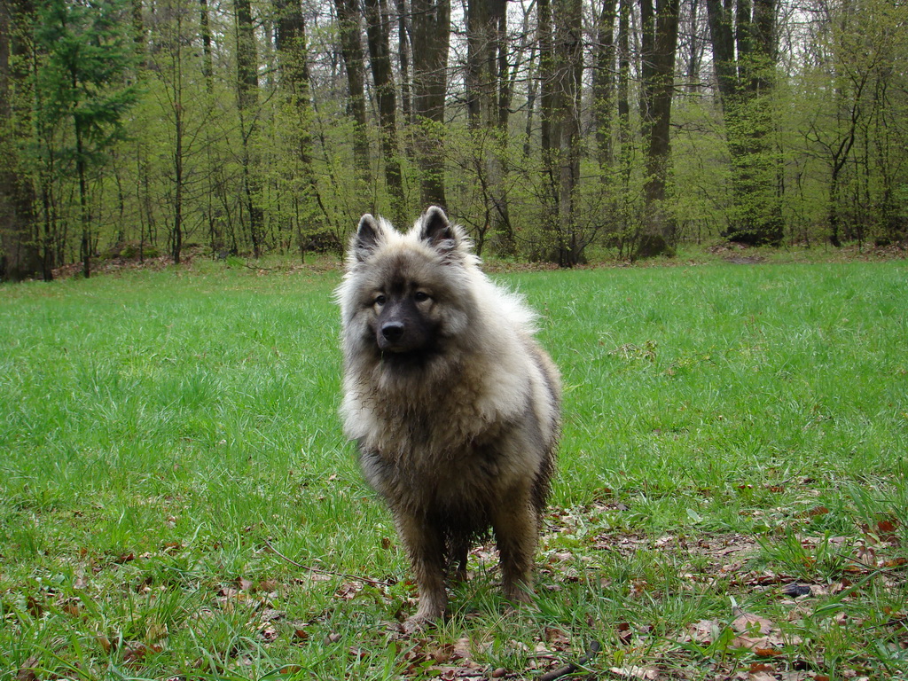 Rákocziho prameň 20.04.2008