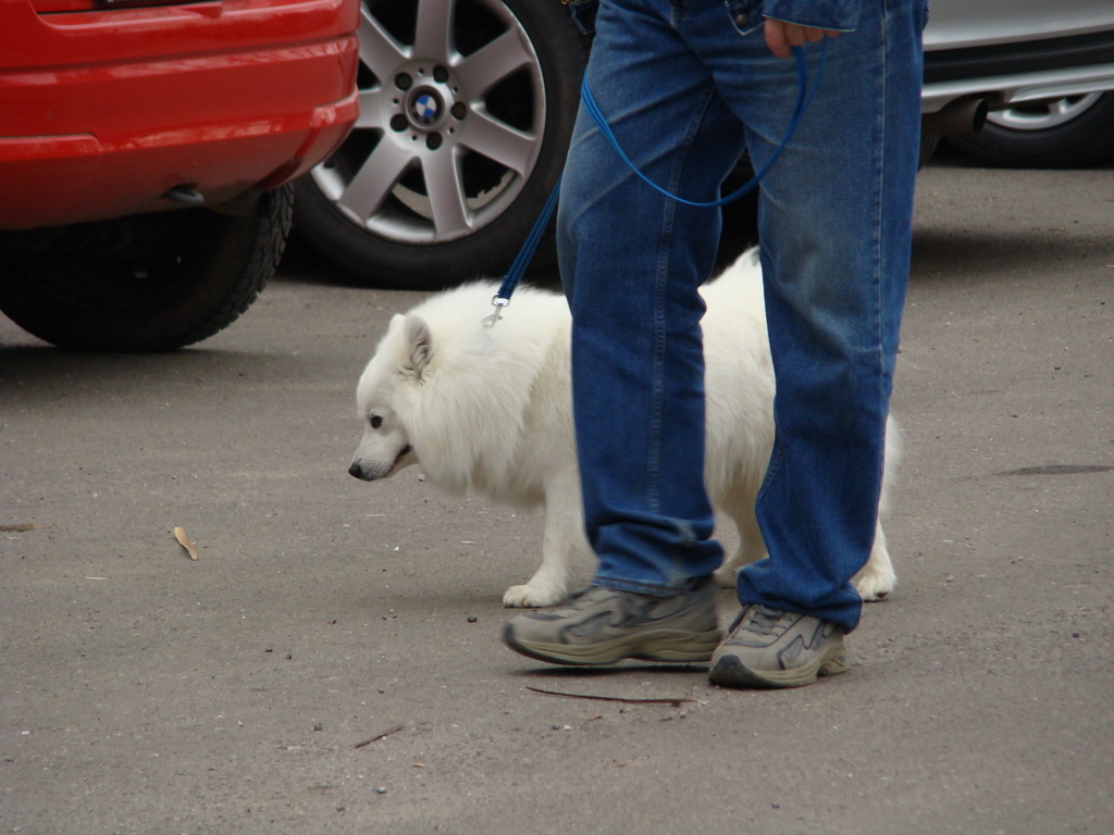 Špeciálna výstava Zemianske Kostoľany 12.04.2008