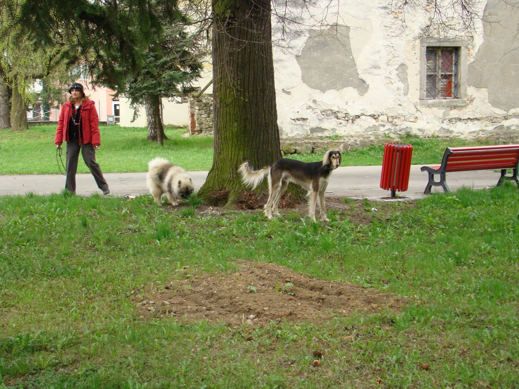 Špeciálna výstava Zemianske Kostoľany 12.04.2008