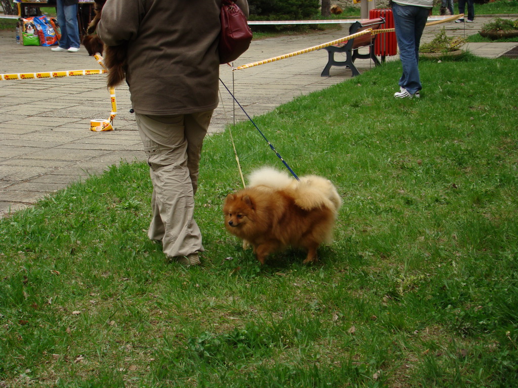 Špeciálna výstava Zemianske Kostoľany 12.04.2008