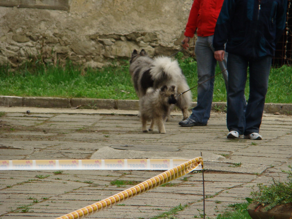 Špeciálna výstava Zemianske Kostoľany 12.04.2008