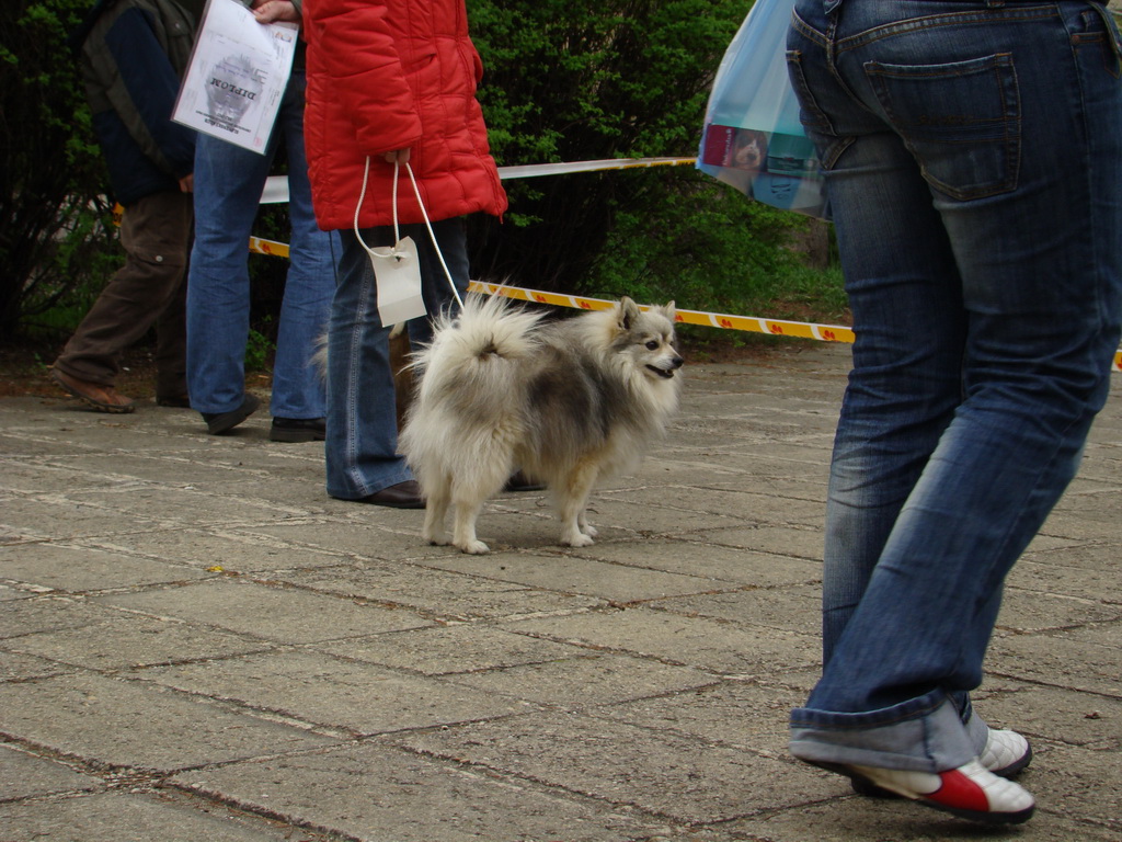 Špeciálna výstava Zemianske Kostoľany 12.04.2008