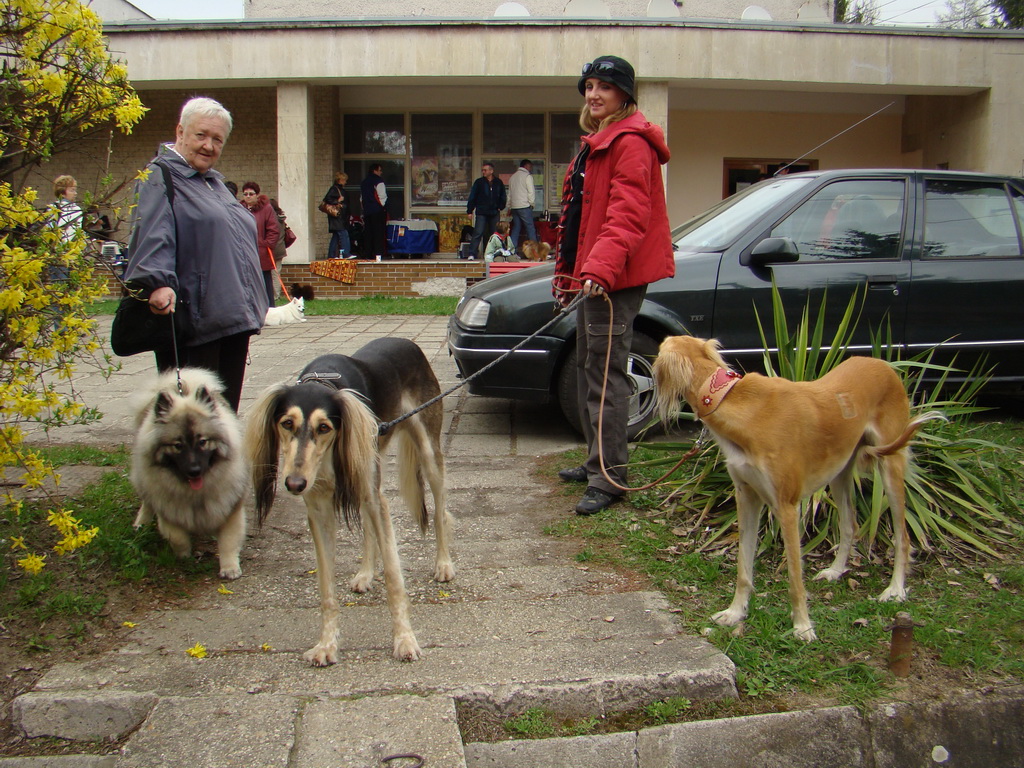 Špeciálna výstava Zemianske Kostoľany 12.04.2008