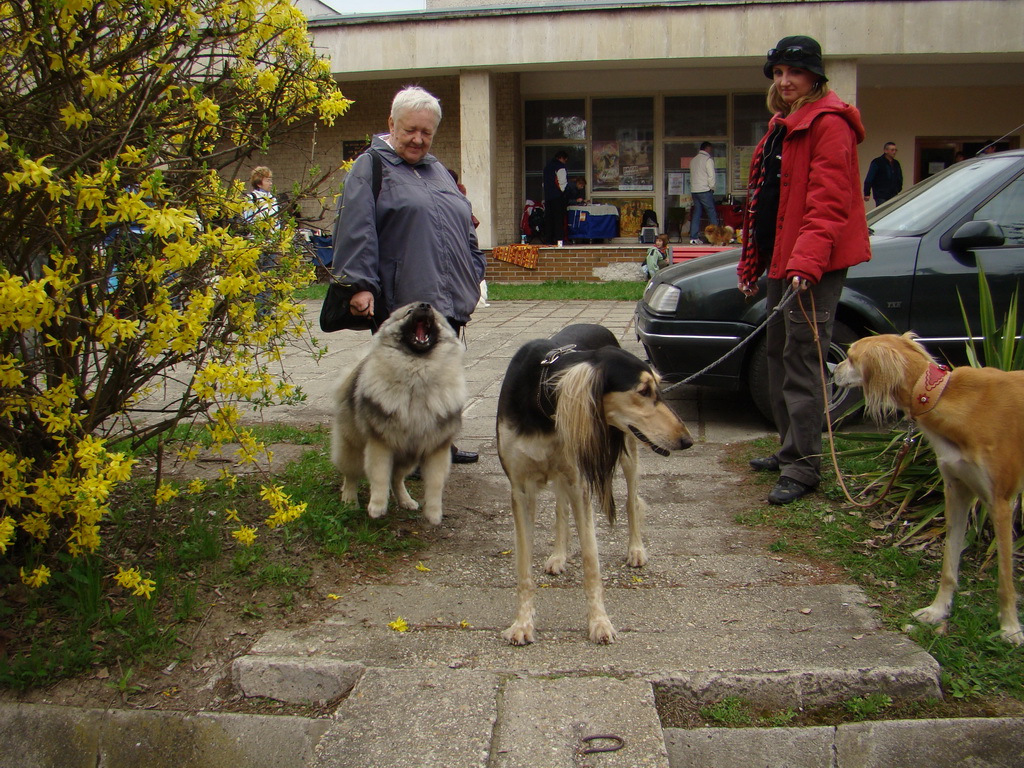 Špeciálna výstava Zemianske Kostoľany 12.04.2008