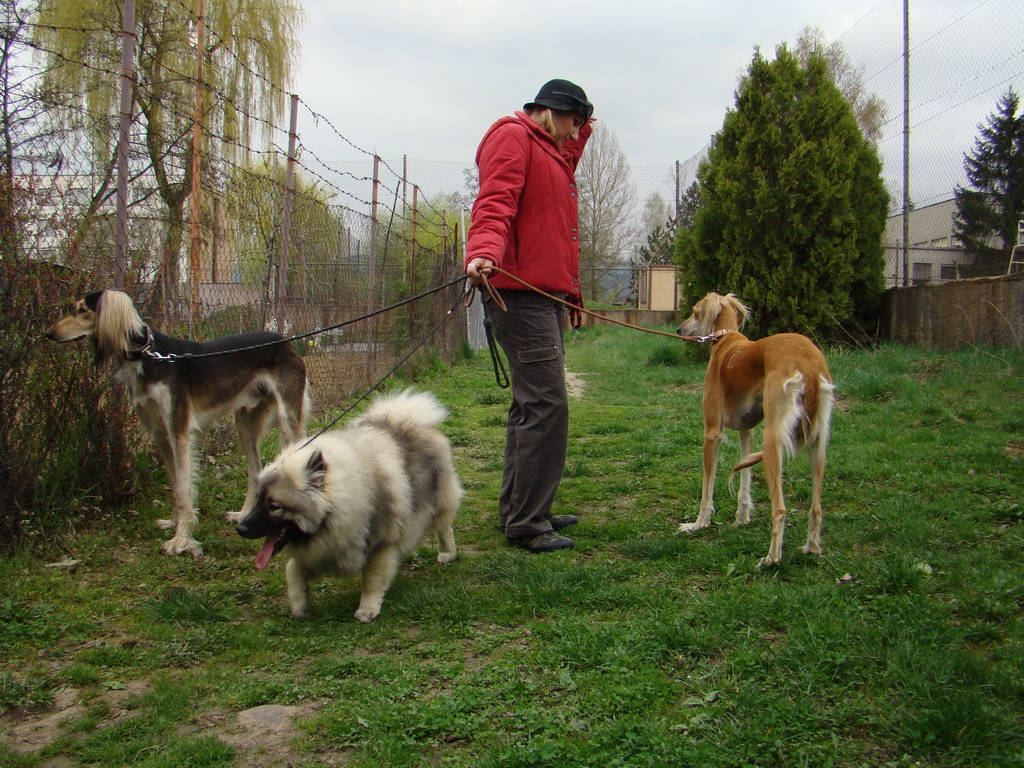 Špeciálna výstava Zemianske Kostoľany 12.04.2008