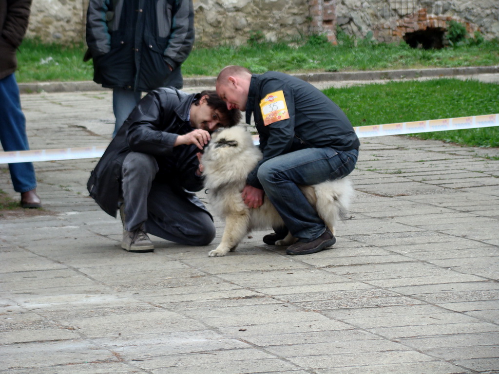 Špeciálna výstava Zemianske Kostoľany 12.04.2008