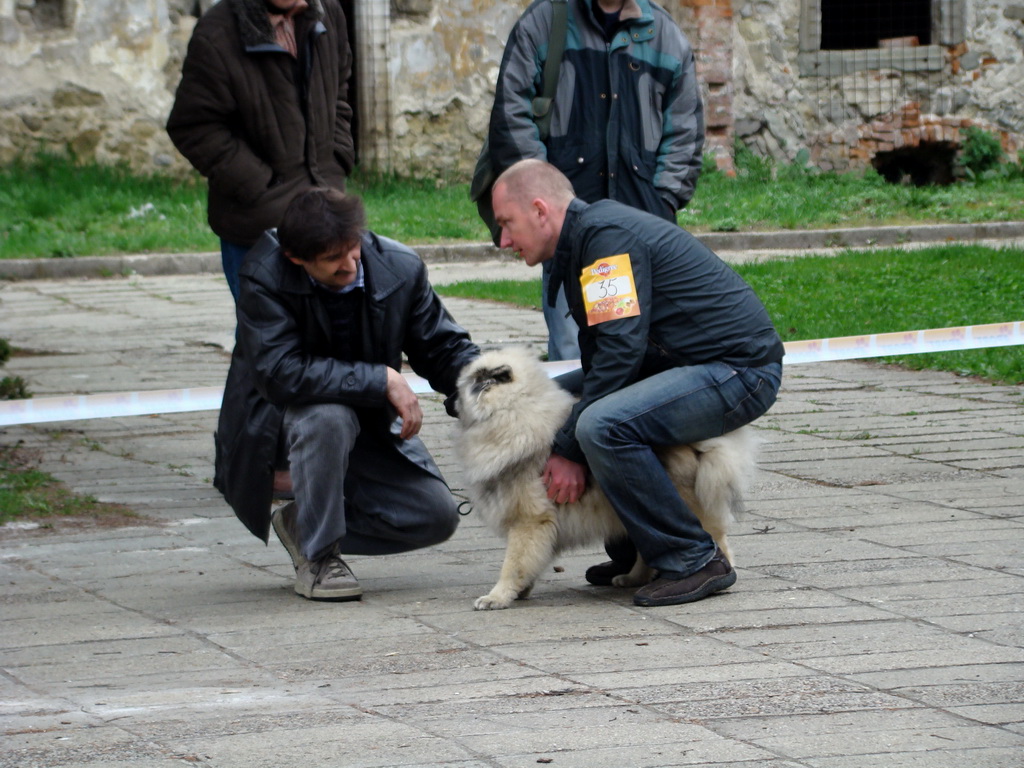 Špeciálna výstava Zemianske Kostoľany 12.04.2008