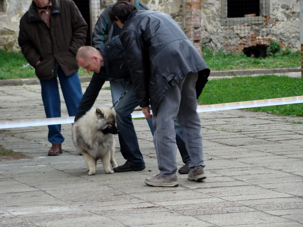 Špeciálna výstava Zemianske Kostoľany 12.04.2008