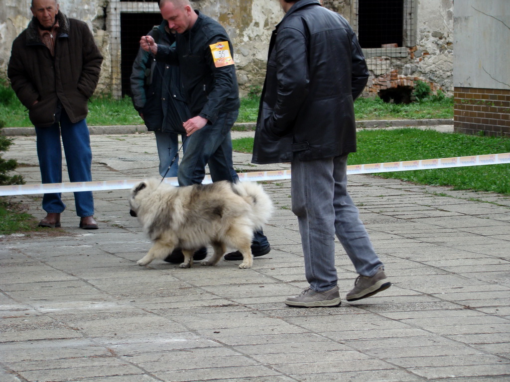 Špeciálna výstava Zemianske Kostoľany 12.04.2008