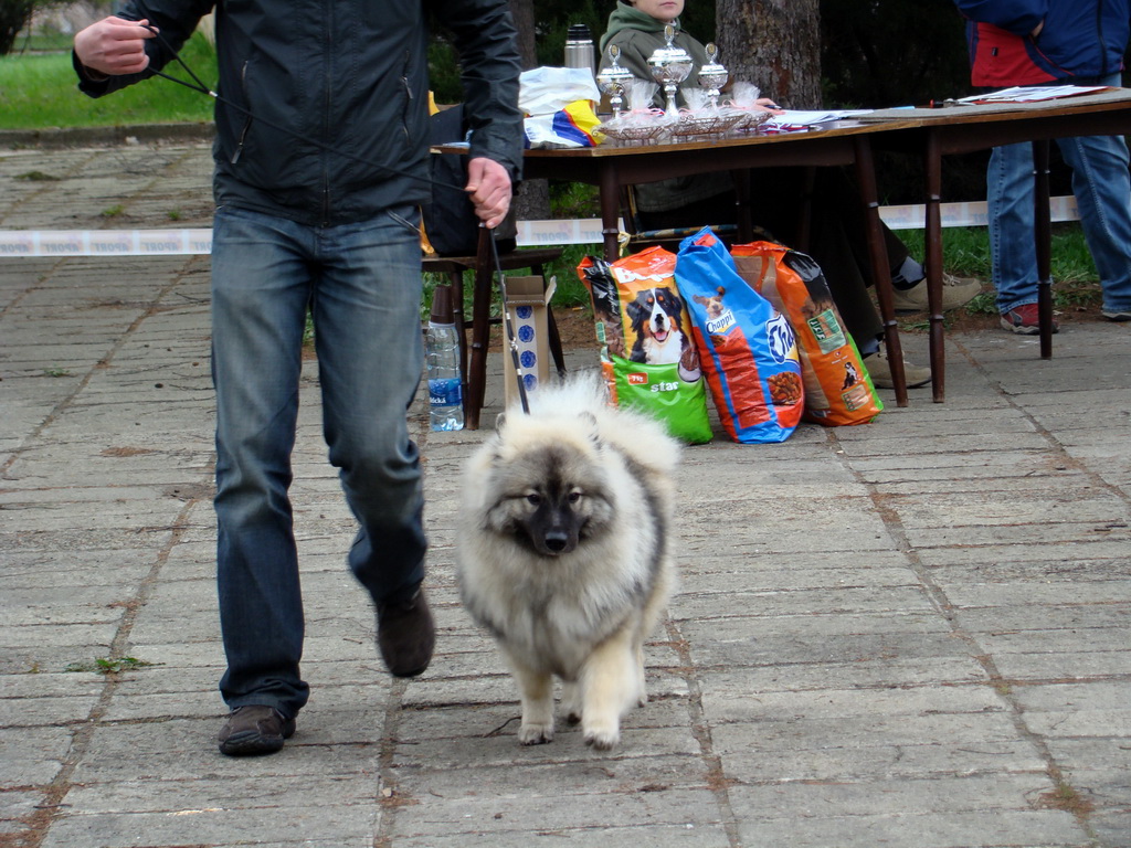 Špeciálna výstava Zemianske Kostoľany 12.04.2008