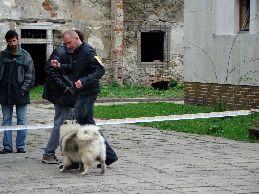 Špeciálna výstava Zemianske Kostoľany 12.04.2008