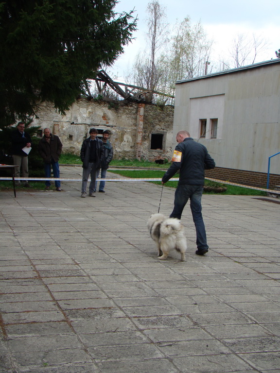 Špeciálna výstava Zemianske Kostoľany 12.04.2008