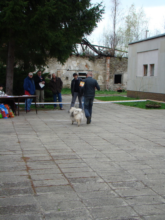 Špeciálna výstava Zemianske Kostoľany 12.04.2008