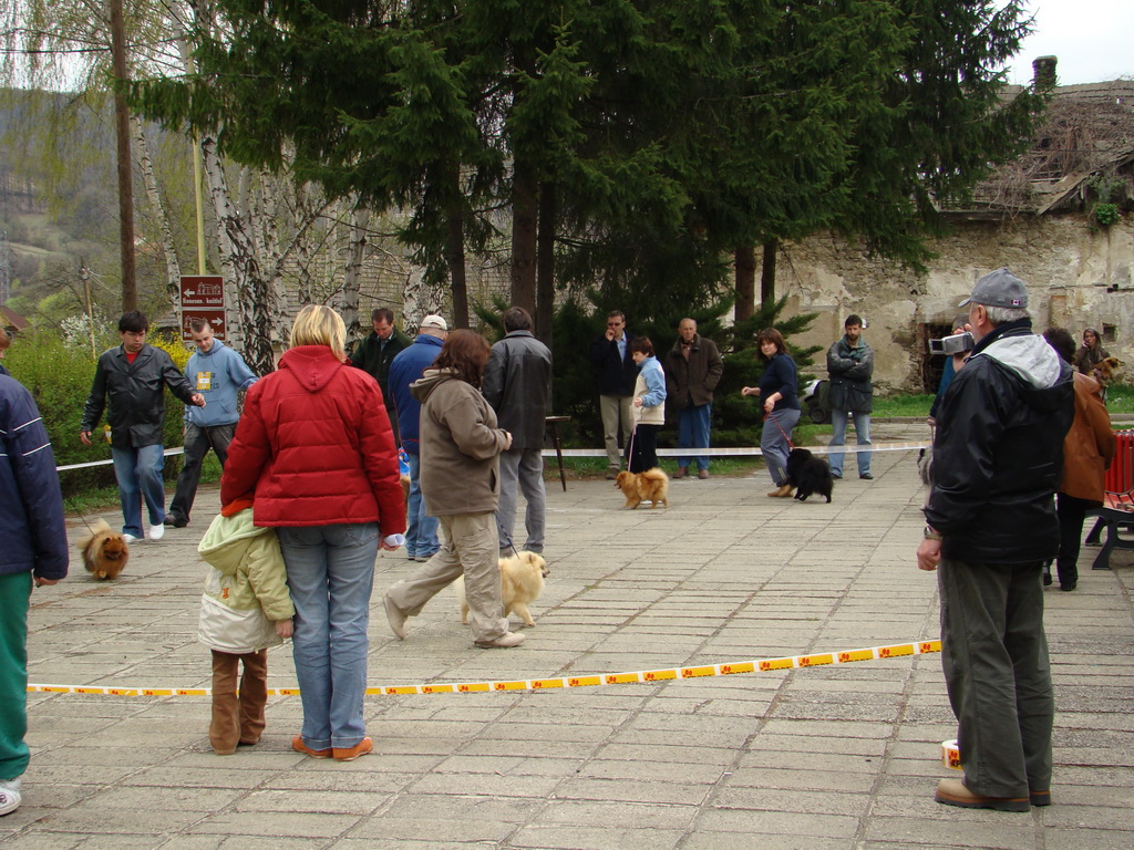 Špeciálna výstava Zemianske Kostoľany 12.04.2008