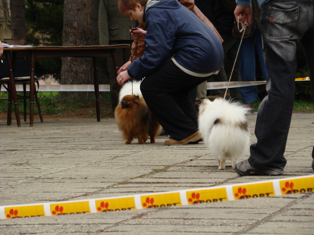 Špeciálna výstava Zemianske Kostoľany 12.04.2008