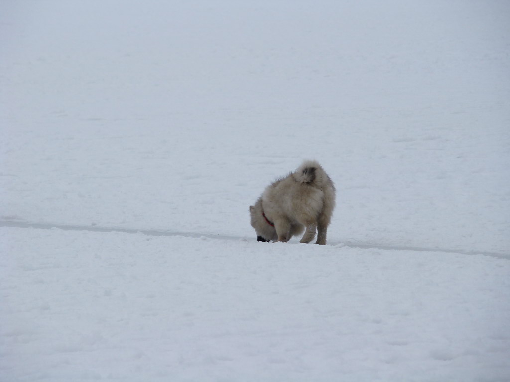 Štrbské pleso 3.1.2008