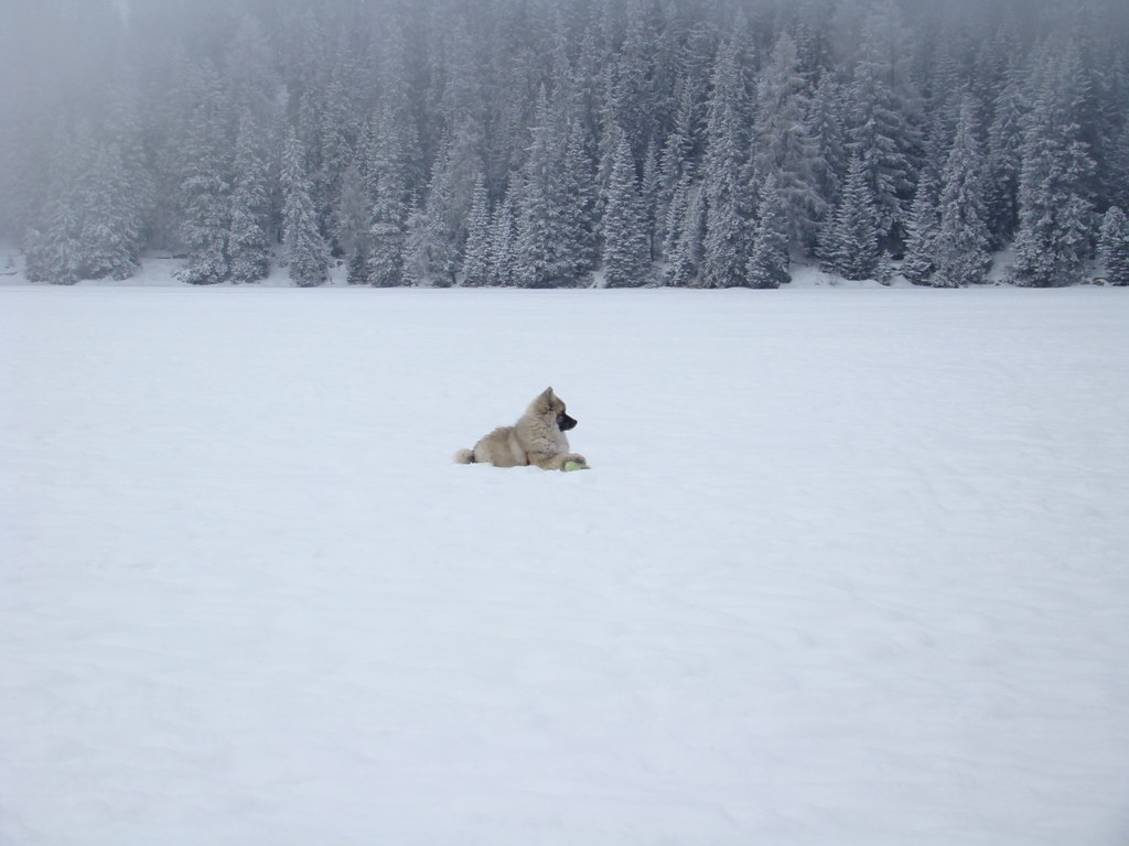 Štrbské pleso 3.1.2008