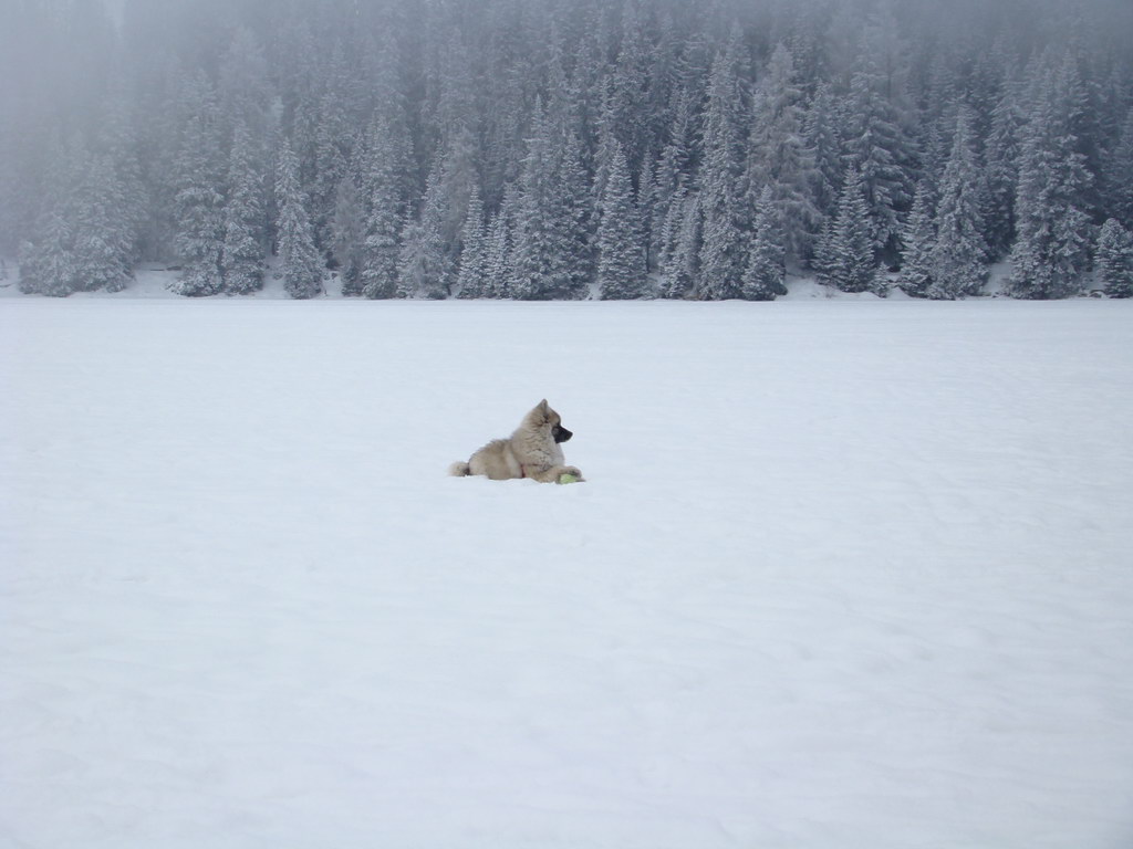 Štrbské pleso 3.1.2008