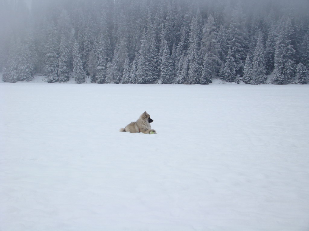 Štrbské pleso 3.1.2008