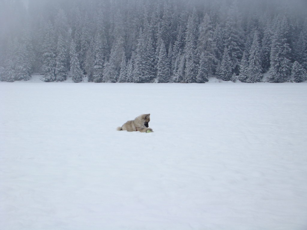 Štrbské pleso 3.1.2008