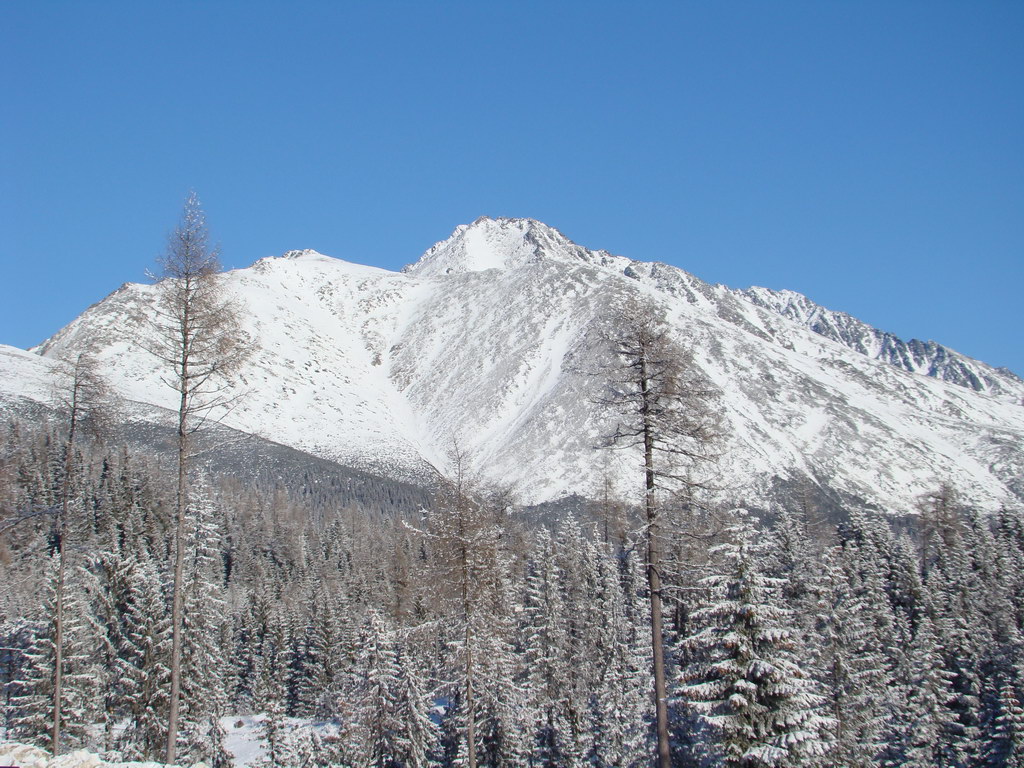 Štrbské pleso 3.1.2008