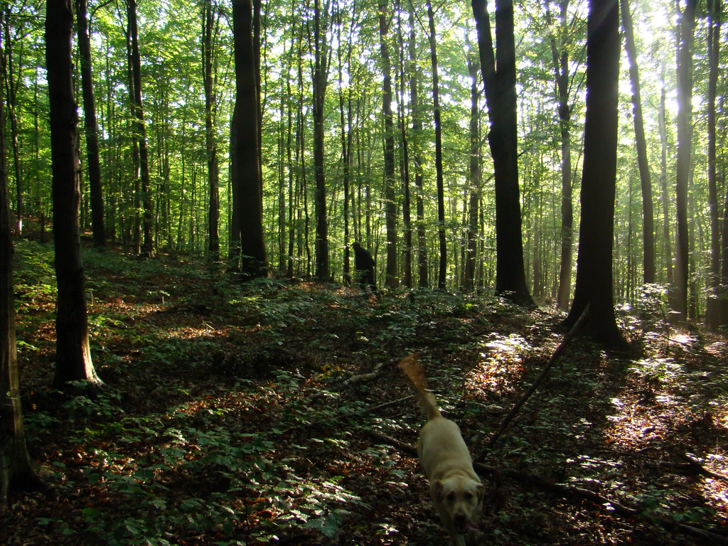 Zlatá Idka 19.07.2008