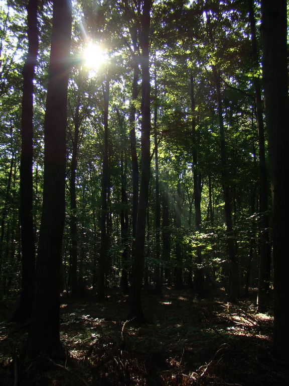 Zlatá Idka 19.07.2008