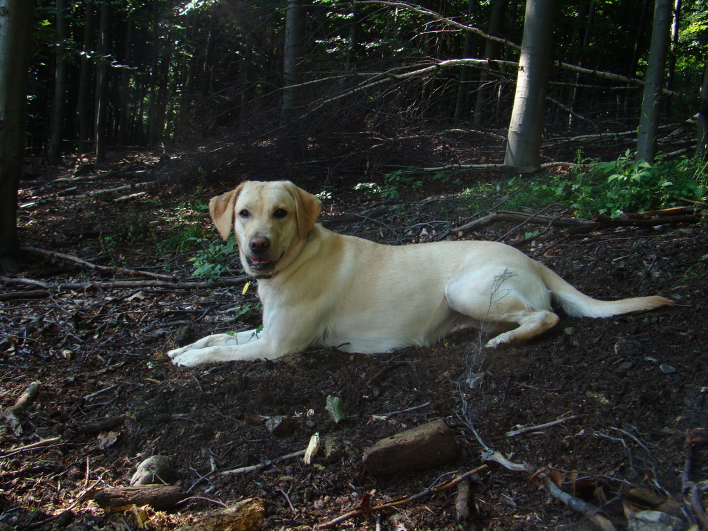 Zlatá Idka 19.07.2008