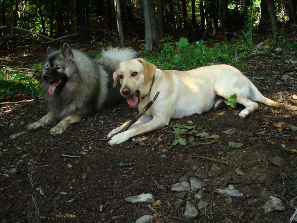 Zlatá Idka 19.07.2008