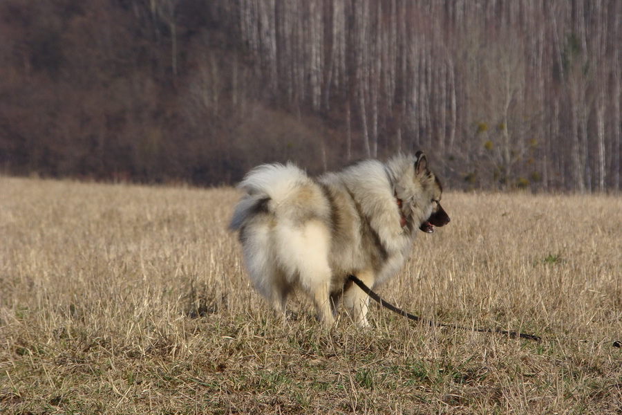 Bankov 14.03.2009