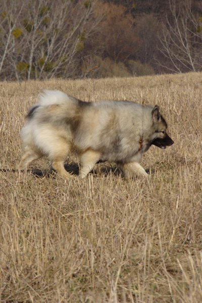 Bankov 14.03.2009