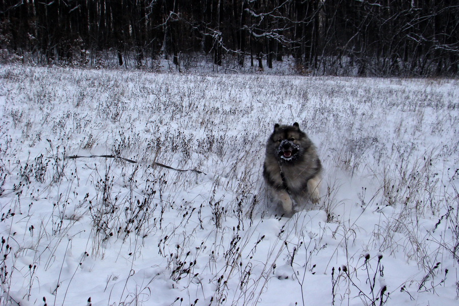 Bankov 20.12.2009