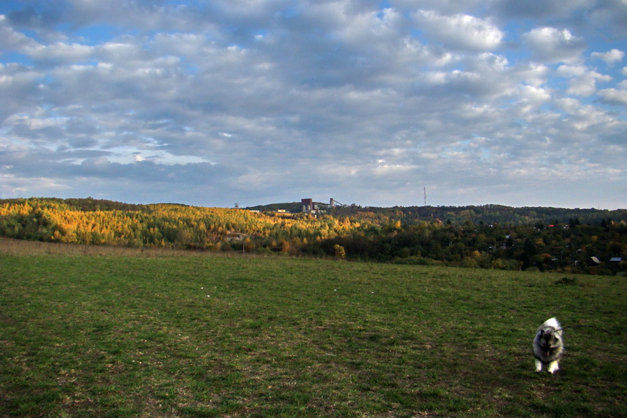 Bankov 25.10.2009