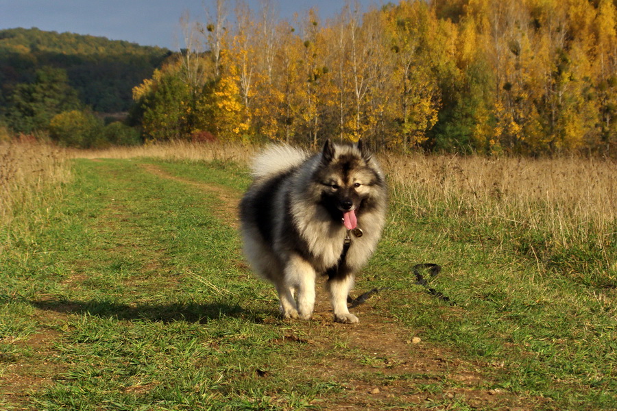 Bankov 25.10.2009