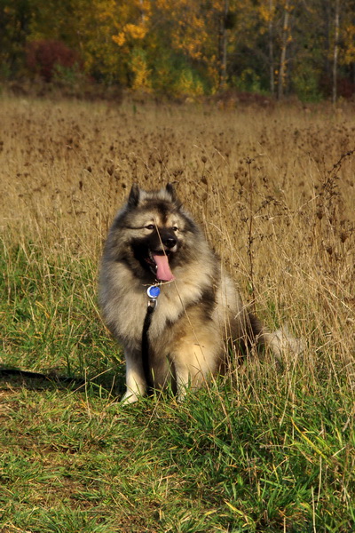 Bankov 25.10.2009