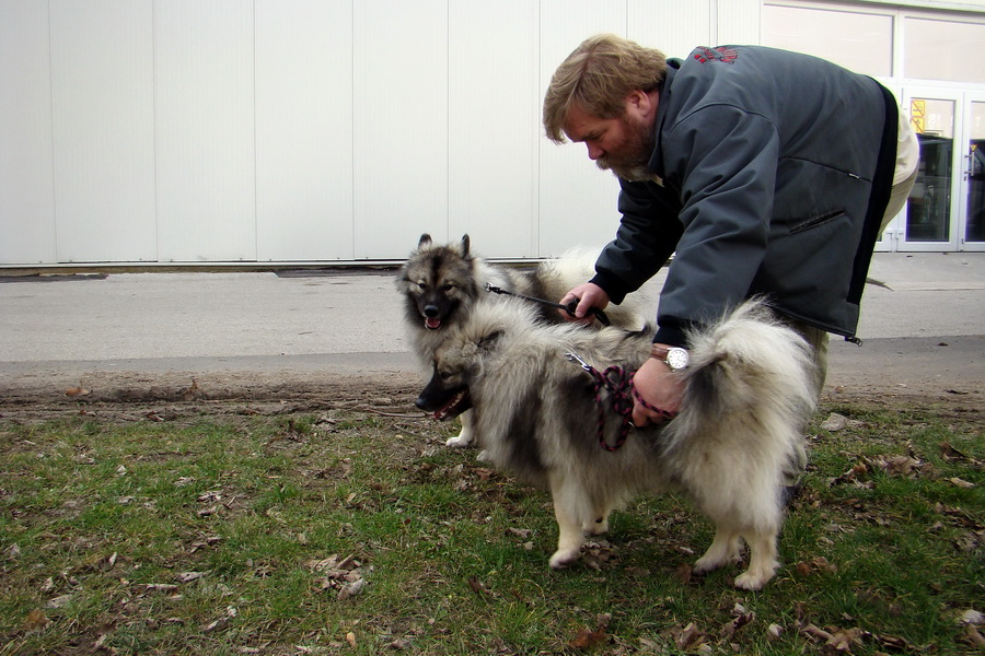 Celoštátna výstava psov Nitracanis 2009; Špeciálna výstava špicov