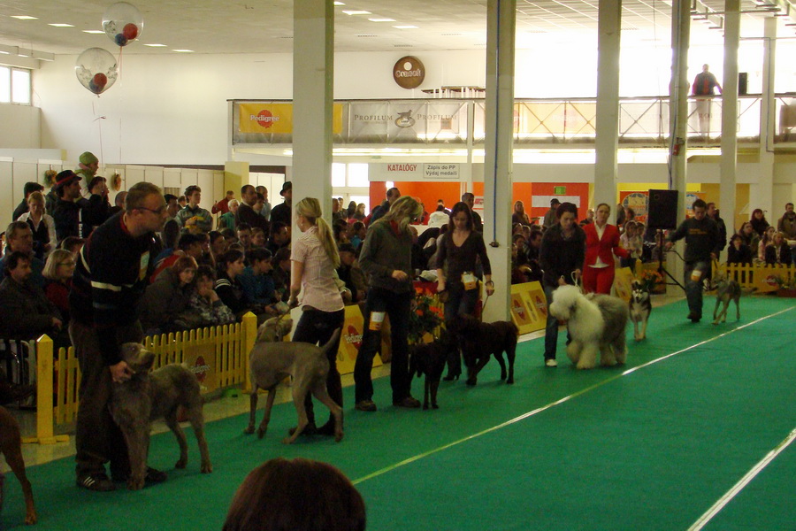 Celoštátna výstava psov Nitracanis 2009; Špeciálna výstava špicov