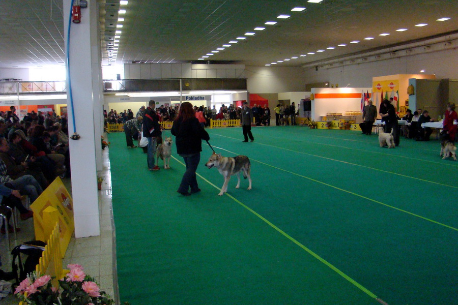 Celoštátna výstava psov Nitracanis 2009; Špeciálna výstava špicov